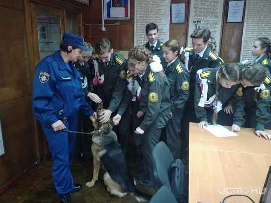 Орловские школьники познакомились с работой кинолога 