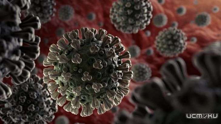 На Орловщине 62 новых случая COVID-19 