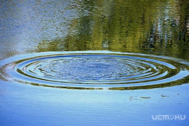 В Орловской области в пруду утонул семилетний мальчик