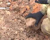 Новости за 90 секунд: орловские школьники начали досрочно сдавать ЕГЭ, а "Тульские искатели" проведут раскопки в Орловской области