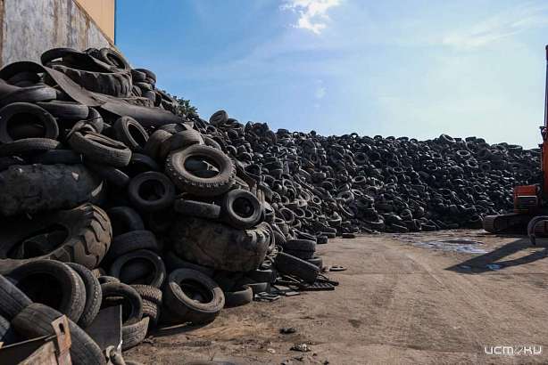 РЭО назвал Орёл лидером по торговле шинами