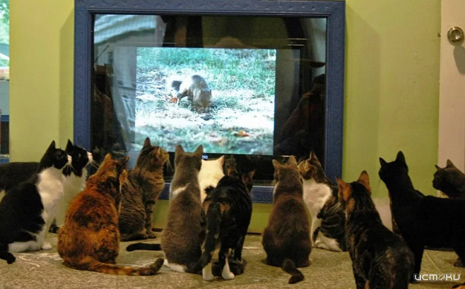 Молодой орловский режиссёр получил две награды на престижном фестивале