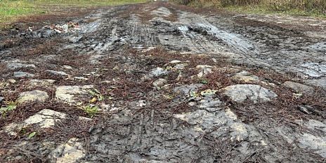 Большинство дорог в Орловском муниципальном округе- грунтовые
