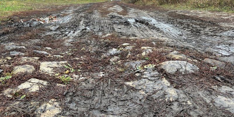 Большинство дорог в Орловском муниципальном округе- грунтовые
