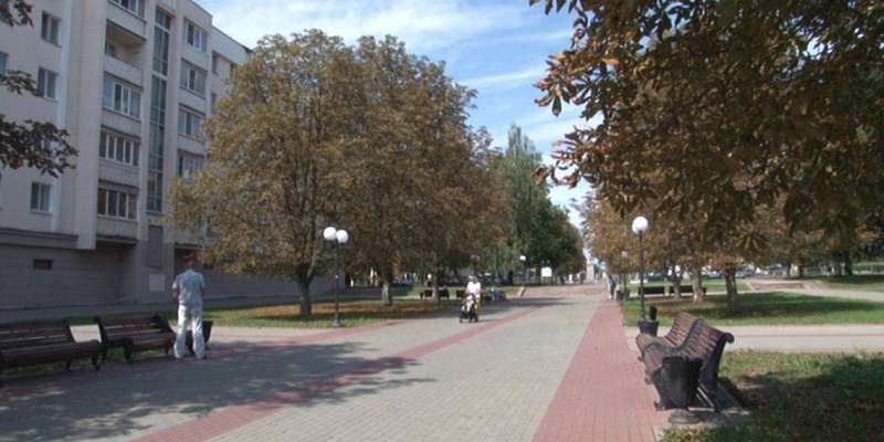 Лечение каштанов и покос травы: на озеленение Орла потратят более 20 млн 