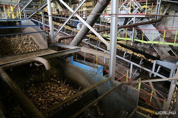 Залегощенский сахарный завод выходит на международный рынок Залегощенский сахарный завод выходит на международный рынок