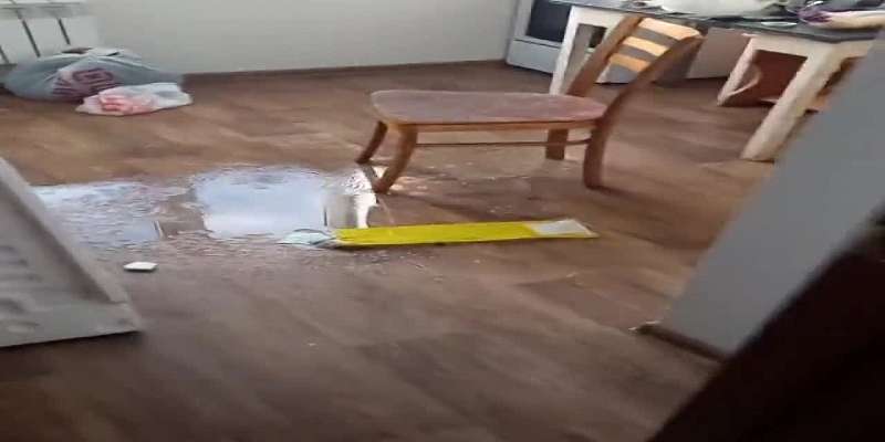 ВИДЕО: в Орле сироте выдали квартиру, через месяц потек потолок
