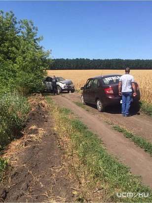 В поле под Орлом столкнулись иномарка и отечественная легковушка