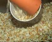 Заманчивые акции и выгодные предложения: что предлагают орловским киноманам