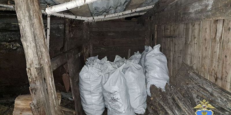 Почти четыре тонны кукурузы украл житель Орловской области