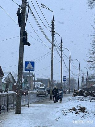 Орловчанам ответили по поводу спиленных деревьев на ул. Колхозная