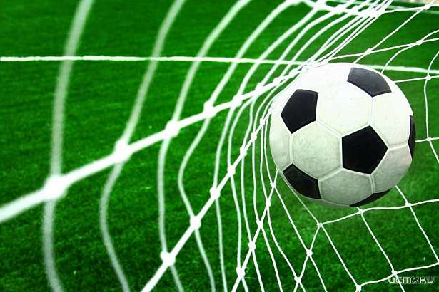 В Орловской области появится Автономная некоммерческая организация «Спортивный клуб «Орел»