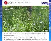 Жители Карачевского шоссе и улицы Латышских Стрелков просят навести порядок во дворе. Экспресс - новости.
