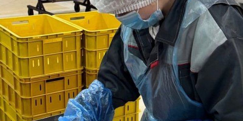 С фермы к столу: Сбер показал работу крупнейшего мясоперерабатывающего комбината Липецка