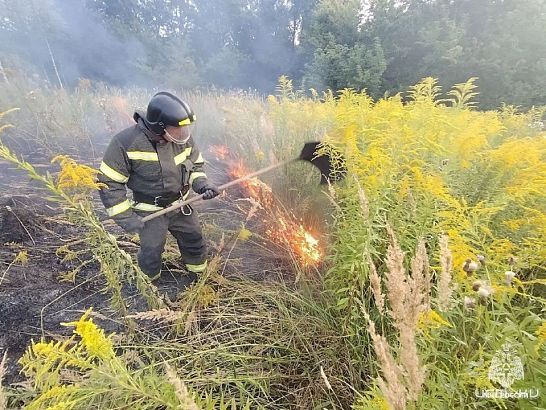 49 выездов за выходные: орловские спасатели тушили траву, обезвреживали боеприпасы и помогали жителям