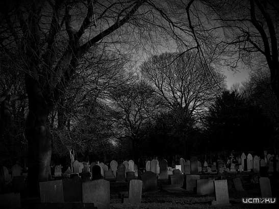 На Орловщине сократилась смертность