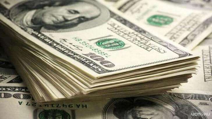 В Орле посадили двух африканцев за попытку оставить без долларов владельца кафе