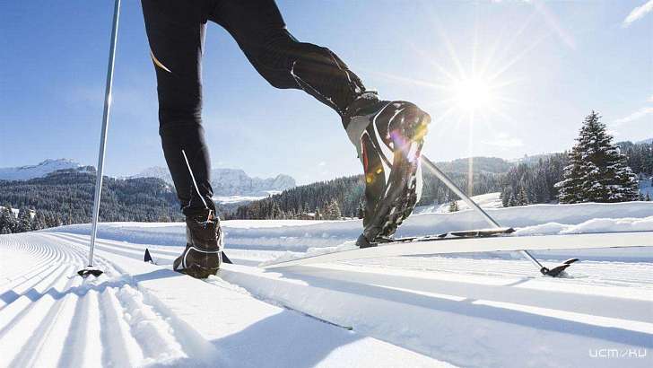 В ожидании снега «Лыжню России» в Орле перенесли на 29 февраля