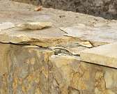 Самая красивая улица мира не выдержала первой зимы. Вид свежеотремонтированной Ленинской вызывает у горожан только нелестные слова