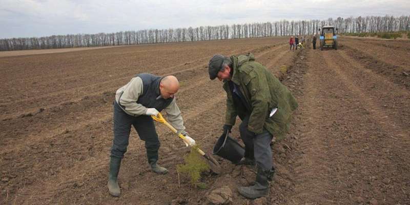 Орловчанам предлагают присоединиться к акции «Сад памяти» дистанционно 