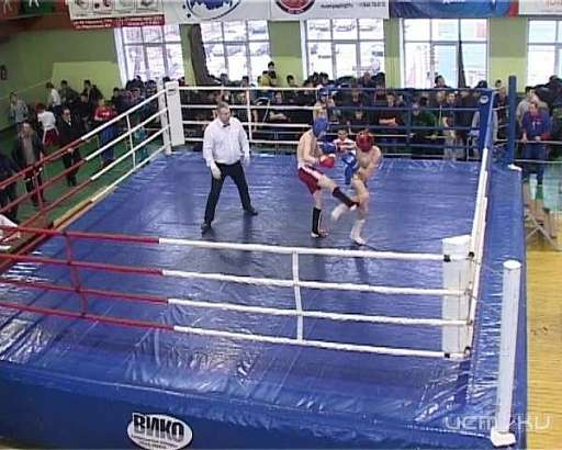 В Орле стартовал чемпионат по кикбоксингу общества "Юность России" 