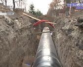 Экспресс-новости: орловские вандалы вновь проявили себя, похоже, в Орле сорвали еще один нац.проект, законопослушные собаки на улицах Орла