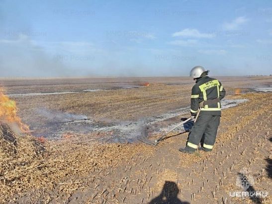 Шесть термоточек подтвердились в Орловской области