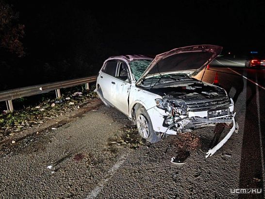 Под Орлом кроссовер врезался в отбойник и перевернулся. Водитель в больнице