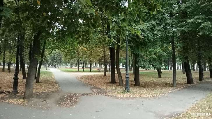 Осень вступает в свои права: какая погода ждет сегодня орловчан