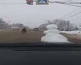 Орловчанин прокатил на капоте авто снеговика