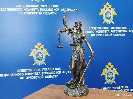 В Орловской области двое бывших полицейских осуждены за превышение должностных полномочий 
