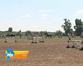 На Орловском ипподроме состоялся большой беговой день