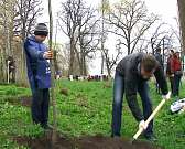 «Чисто не там, где убирают, а там, где не мусорят». В Орле прошла генеральная уборка