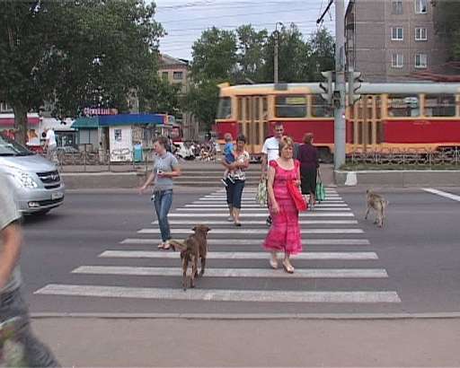 Неработающий светофор в районе остановки «Агрокомбинат»