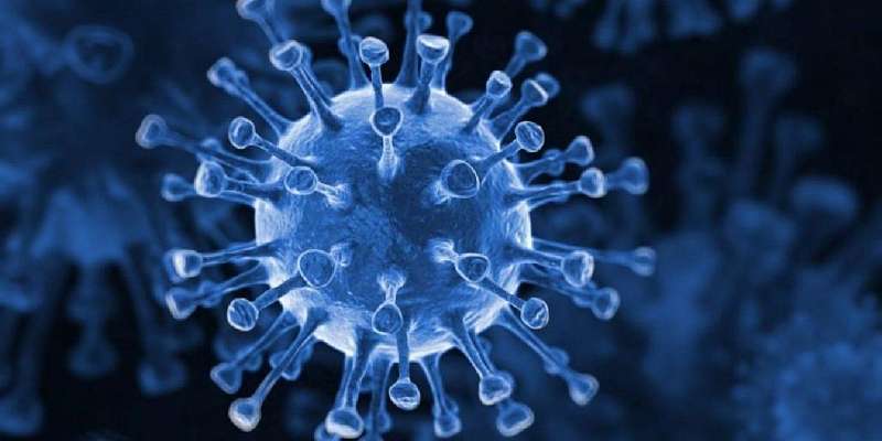 На Орловщине половина умерших пациентов с COVID-19 страдала ожирением