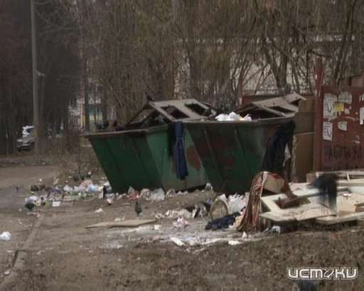 В Орле накапливается мусор: куда обращаться жителям 