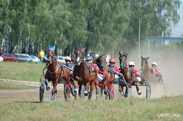 На скачках в Орле рызыграют Кубок Мансурова