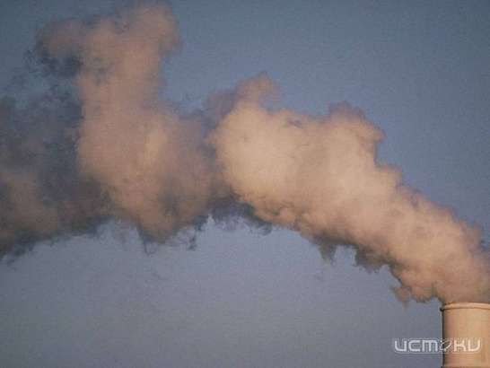 Больше всего загрязняют атмосферу области автомобили