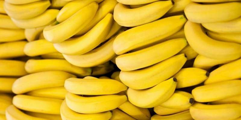 Бананы и картофель значительнее всего подорожали на Орловщине в мае 