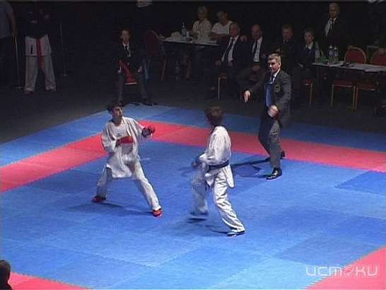 Дюжина медалей орловских каратистов