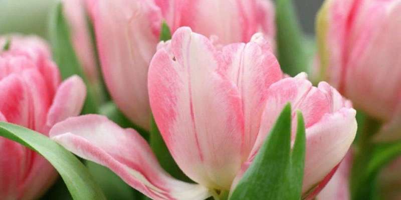 Орловский театр «Русский стиль» поздравит милых дам