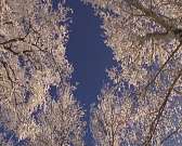 Зимняя сказка в Орле