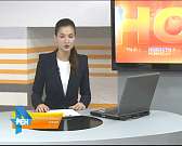 В Орле в цветочной клумбе нашли мину военных времен