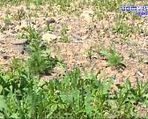 Ремонт улицы Михалицина завершен. Только не всем он пришелся по душе!