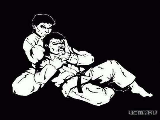 В Орле разыграют медали Чемпионата города по грепплингу.