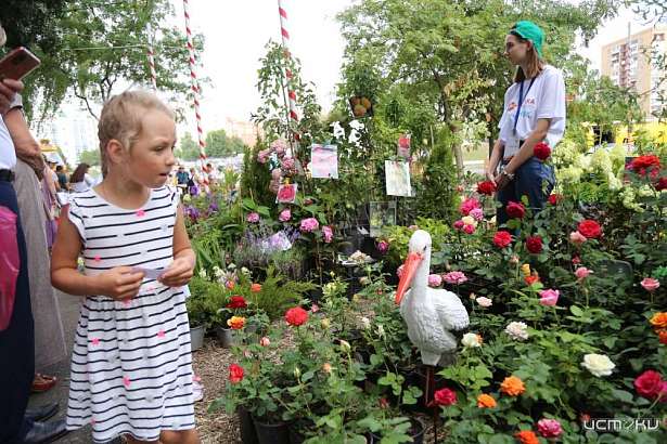"Надо просто смотреть на них и дышать их ароматом" : в Орле открылся фестиваль цветов