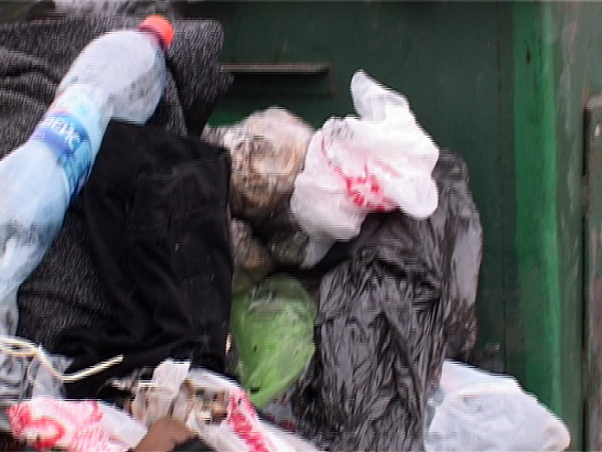 Жители ул. Гайдара тонут в мусоре, а их управляющая компания должна заплатить четверть миллиона 