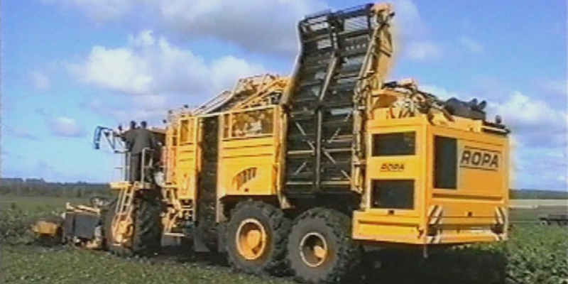 Как избежать нарушений при декларировании и хранении собранного урожая в орловском регионе?