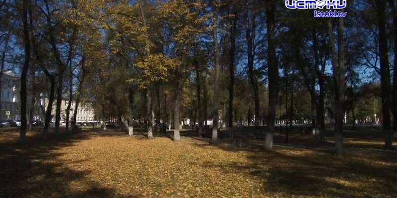 Долго ли еще орловчанам наслаждаться теплой погодой?
