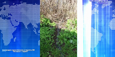 Неравнодушный орловчанин заметил, как в центре Орла в реку текут нечистоты...